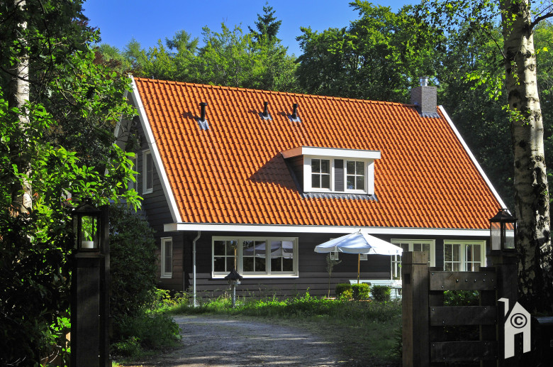 Presolid Home, wonen in een landhuis waar een houtsnip woont